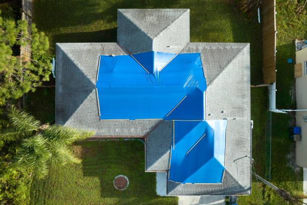 Best Roof Maintenance and Cleaning  in Hermitage, PA