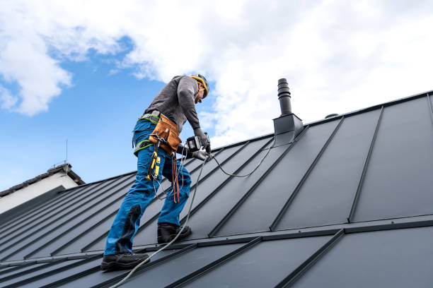 Best Skylight Installation and Repair  in Hermitage, PA